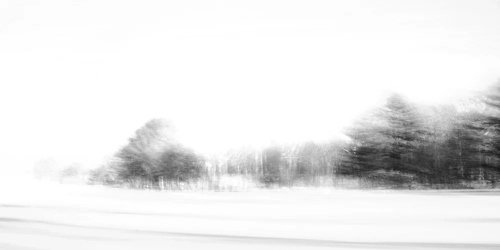 "WINTER LANDSCAPE III" Moving Image Series 2009 archival pigment ink on paper • 40" x 20", 36" x 18", 30" x 15" ... edition of 10 in each size, limited to 40 pieces total. to see more images from this series, contact me :)