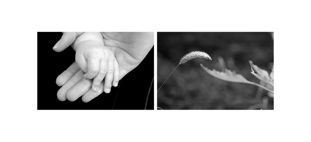 FINDING MEANING: Hands and Grass Black and White Digital Photography Framed size 19" x 9" Edition of 5