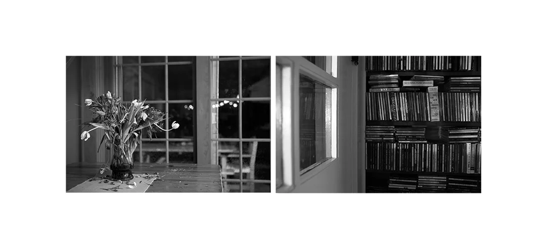 FINDING MEANING: Tulips and Bookcase Black and White Digital Photography Framed size 19" x 9" Edition of 5