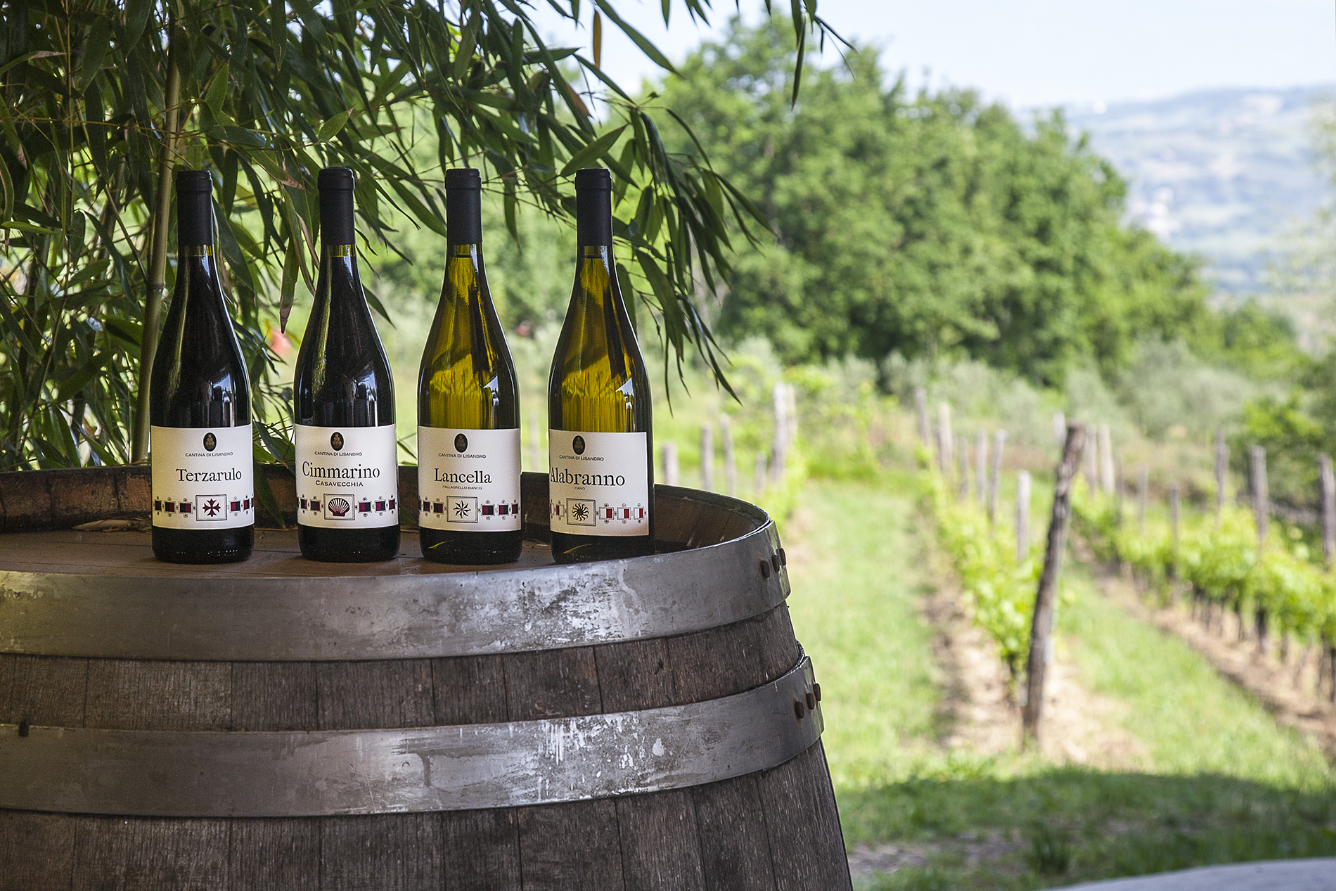Name of winemaker in photo