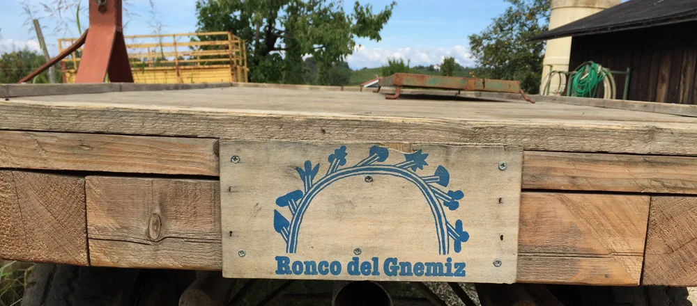 Name of winemaker in photo