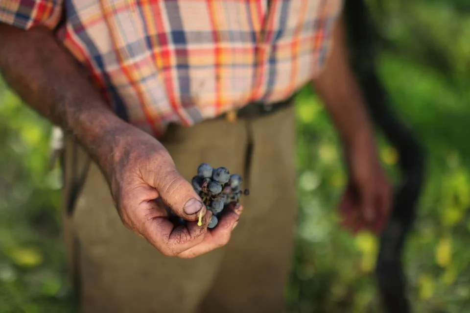 Name of winemaker in photo