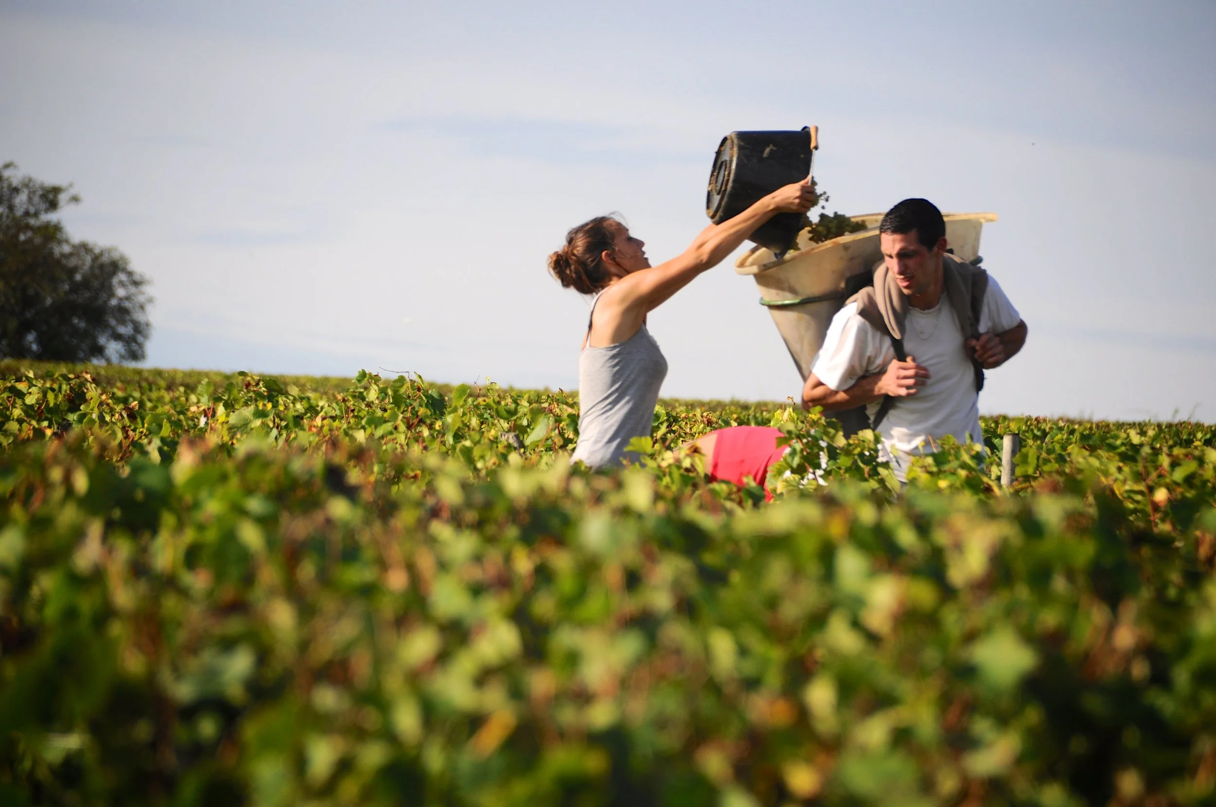 Name of winemaker in photo