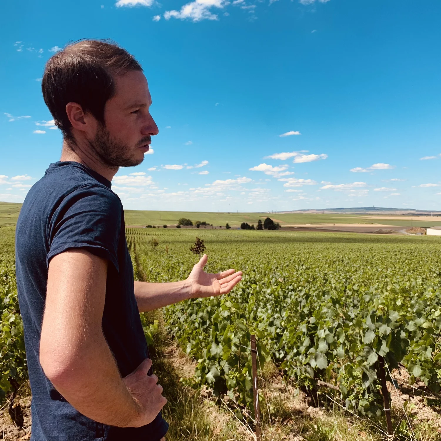 Champagne Adrien Renoir (new) — Grand Cru Selections