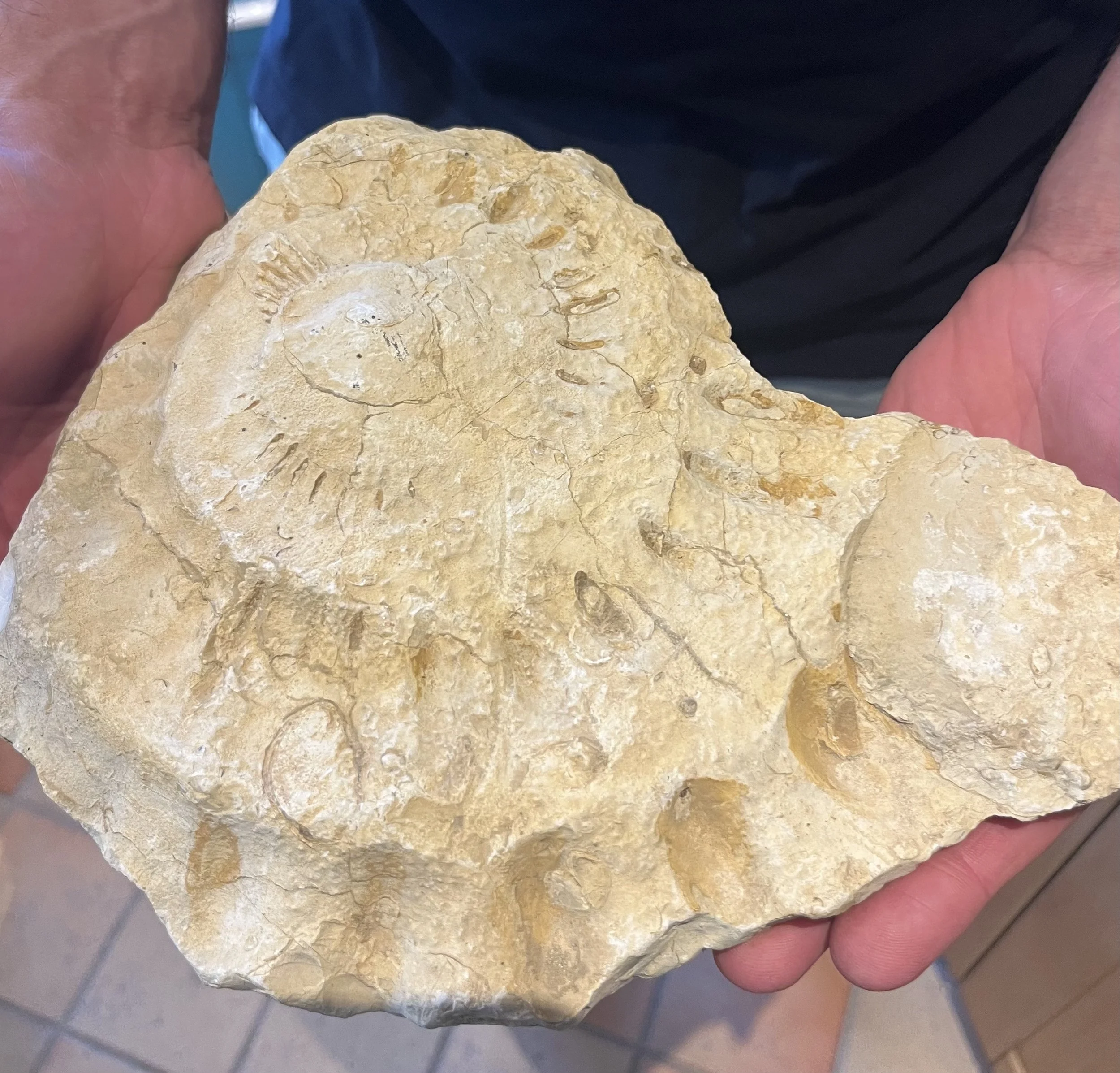 Soils of Sancerre with Aurelien Bailly