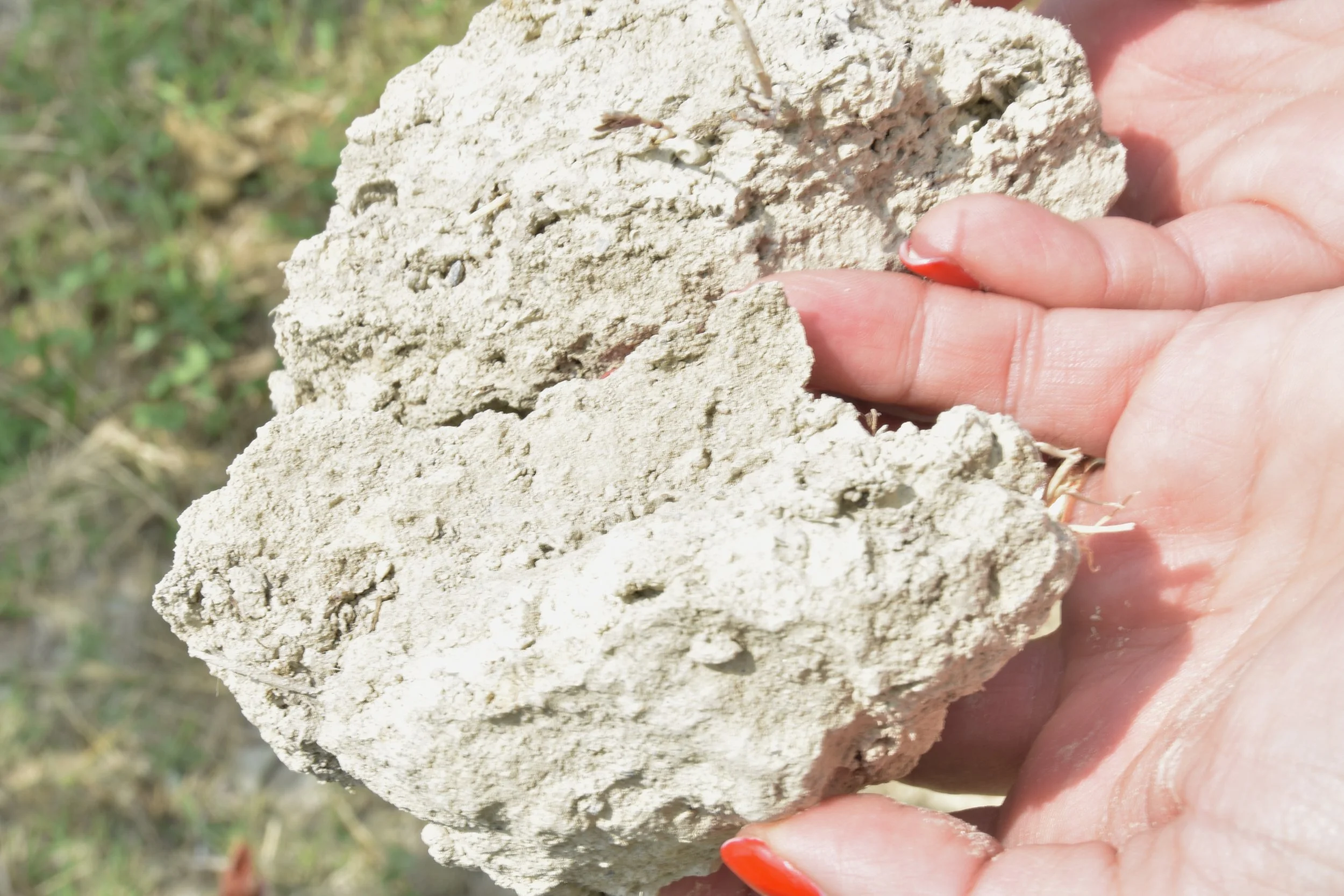 Soils of San Sebastiano in Monforte d'Alba with Elena Penna