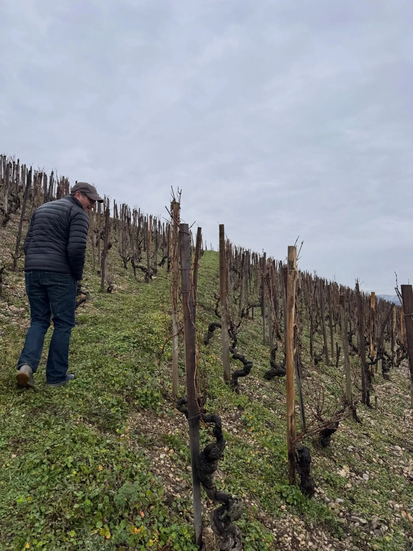 Walking the historic hill of Hermitage with Jean-Louis Chave. Always a special visit, and looking forward to seeing him in NYC soon. To be continued&hellip;.