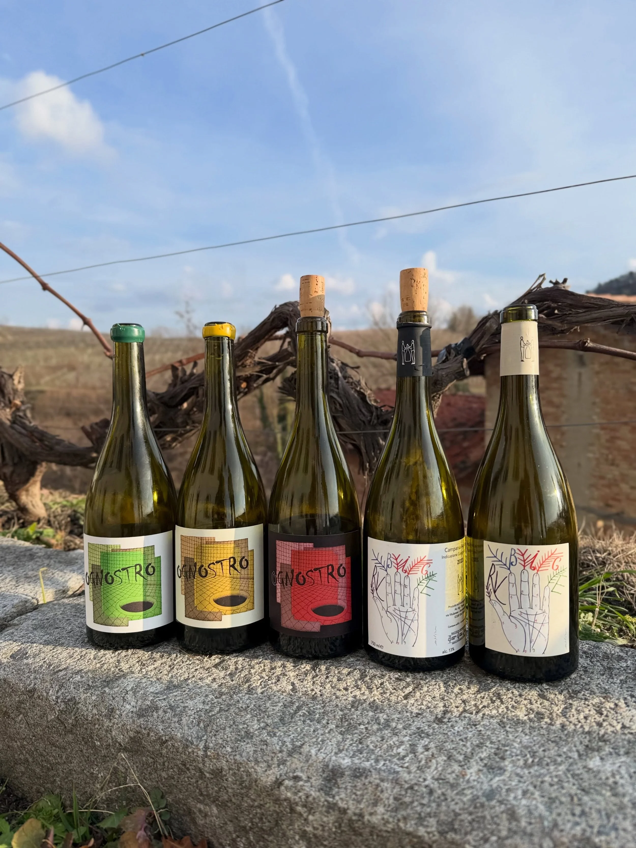 Thrilled to have the latest releases (Fiano, Falanghina, Greco &amp; Aglianico) from Marco Tinessa now stateside. Working from a newly built cellar in his hometown of Montesarchio, Marco continues to push his wines forward. Hard to believe it&rsquo;s