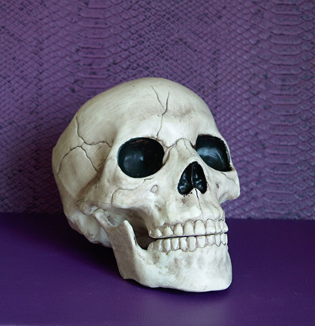 Zwykła plastikowa czaszka, jakich wiele teraz w sklepach...