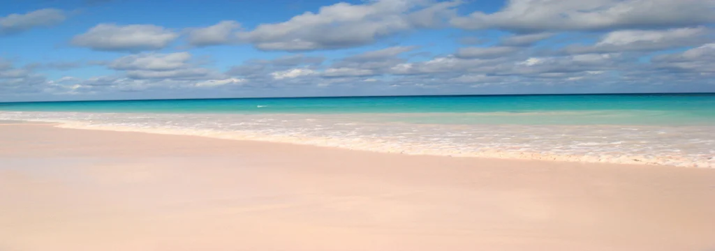 Pink-Sands-Beach-Harbour-Island-Bahamas.jpg
