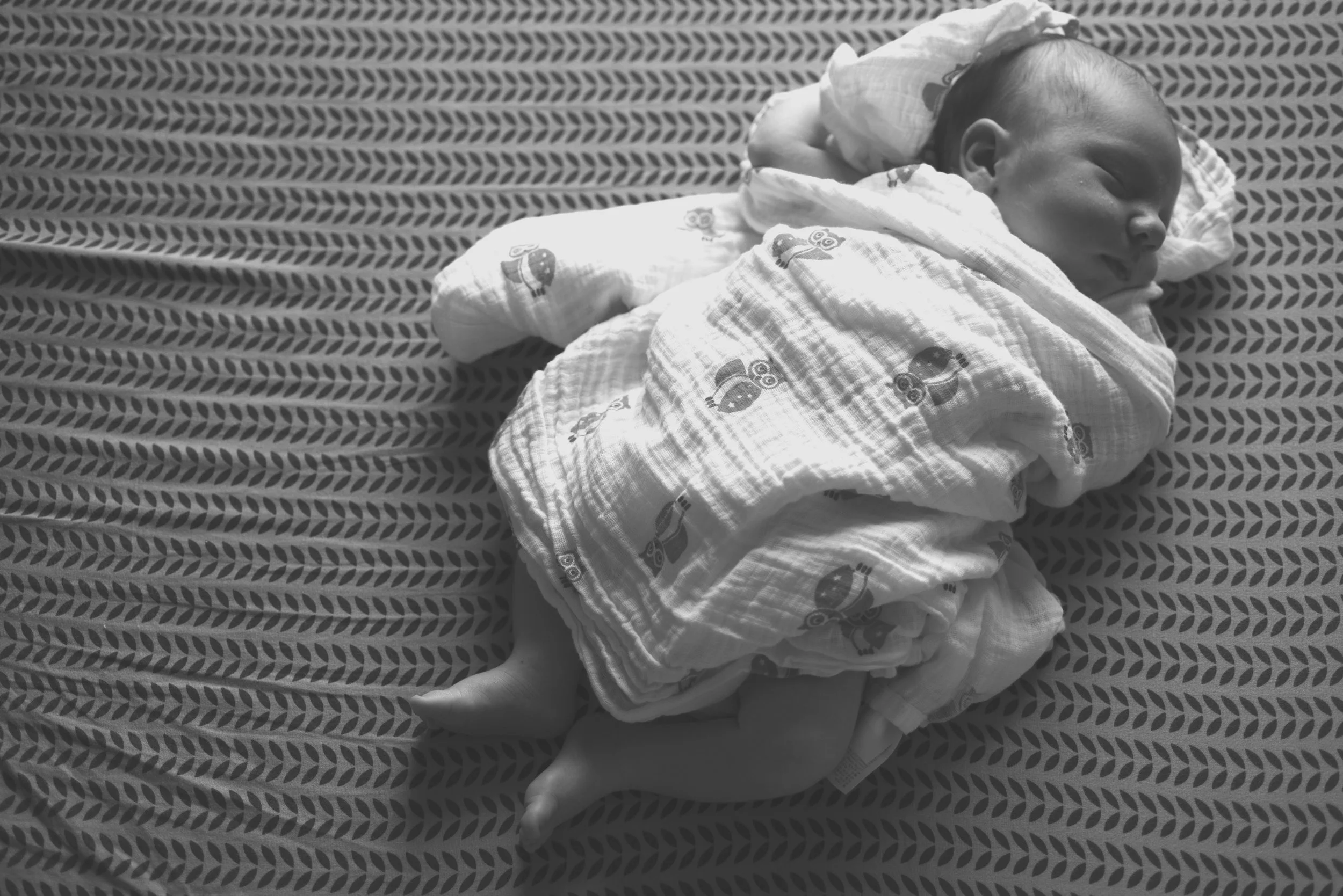 DSC_7193bw.jpg