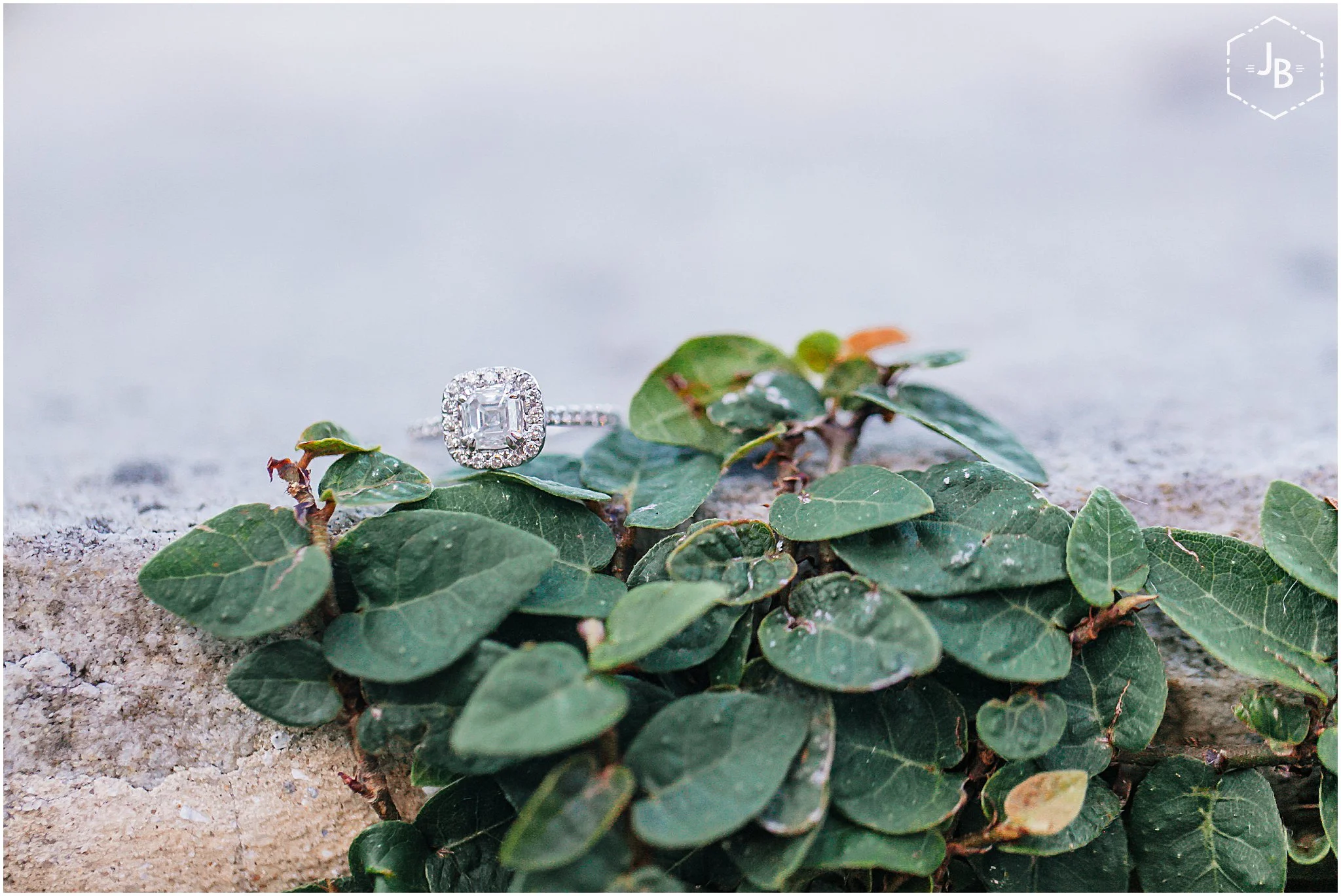 WeddingPhotographerSouthFlorida_0142.jpg