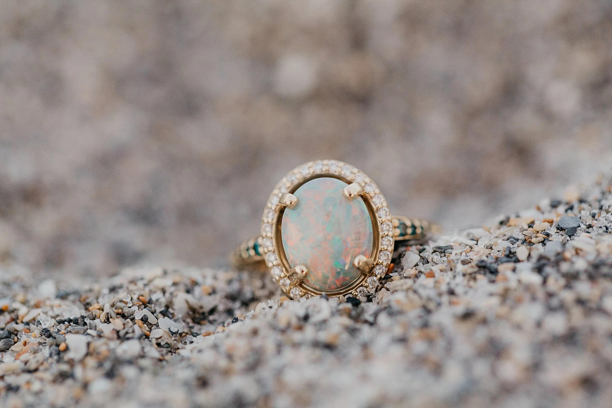 JessicaBordnerPhotography_2889.jpg