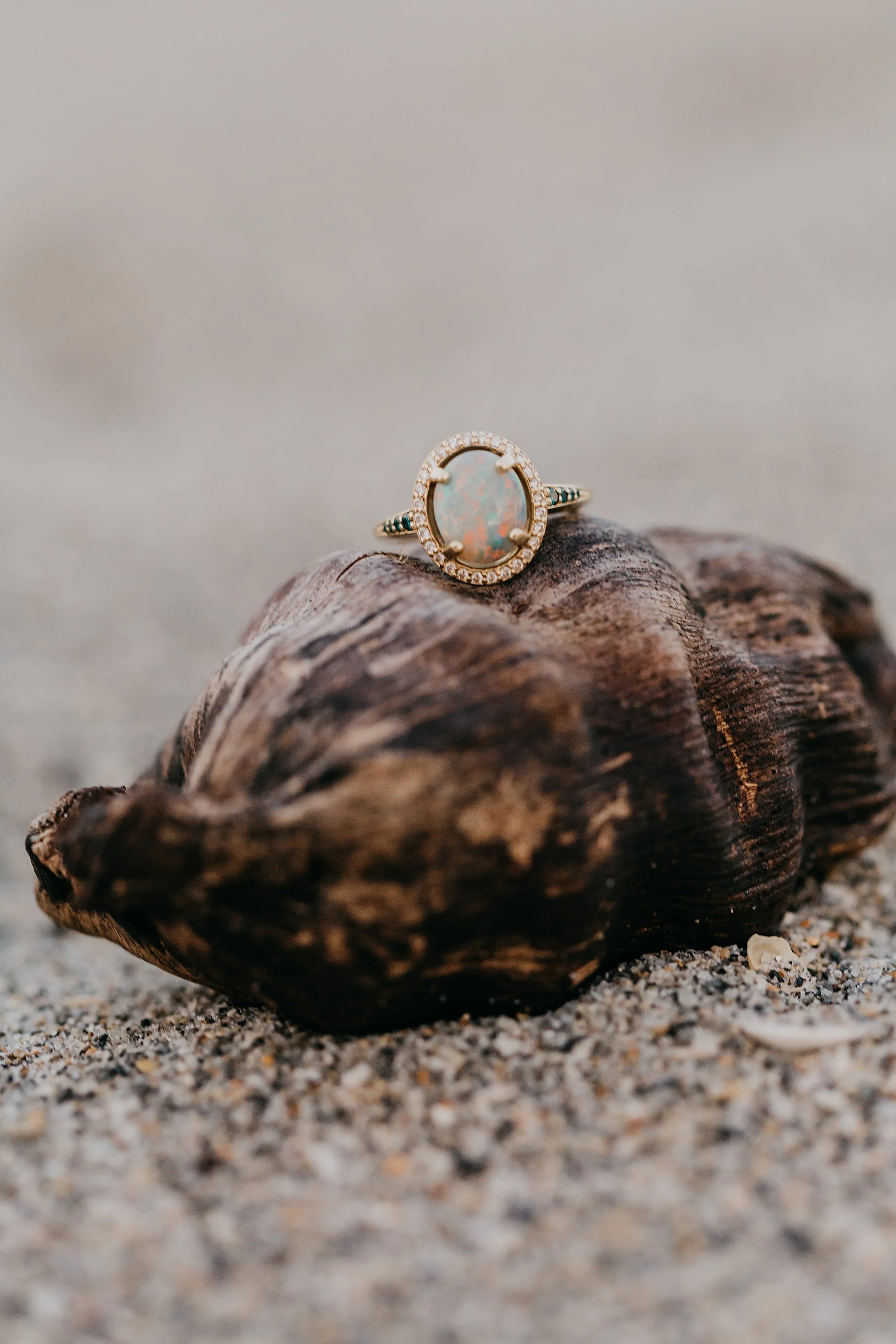 JessicaBordnerPhotography_2896.jpg