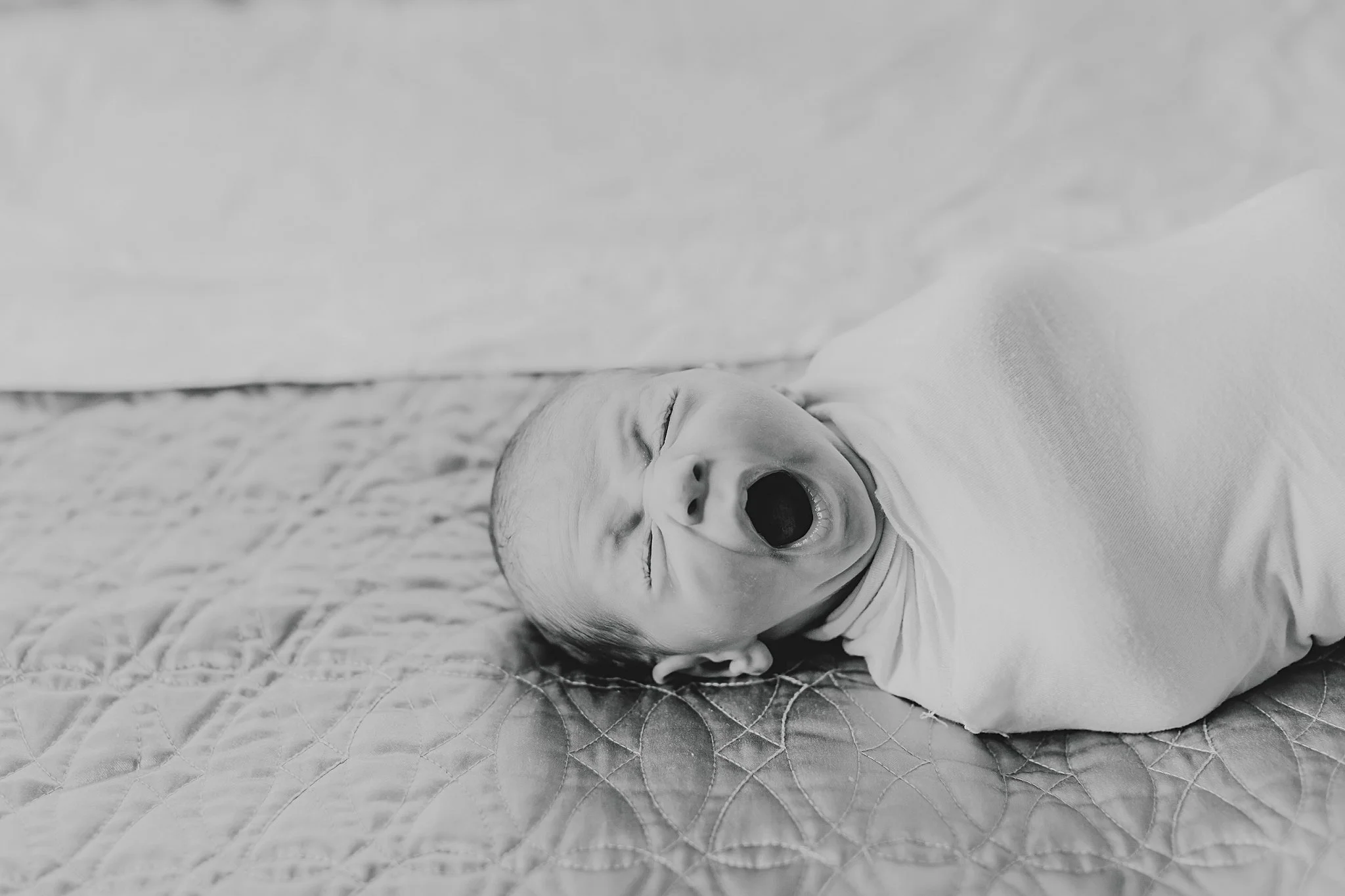 JessicaBordnerPhotography_3697.jpg