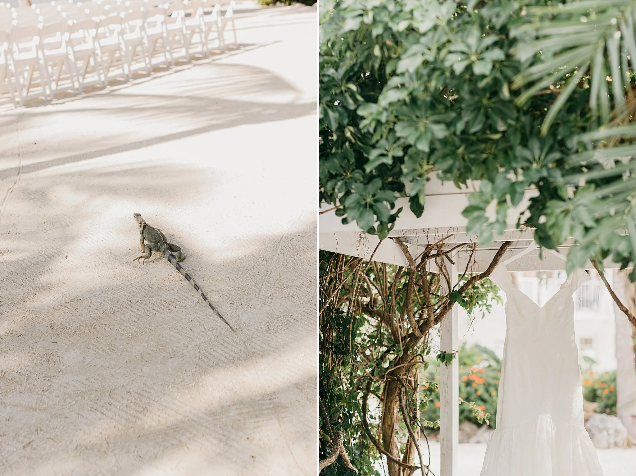 JessicaBordnerPhotography_3843.jpg