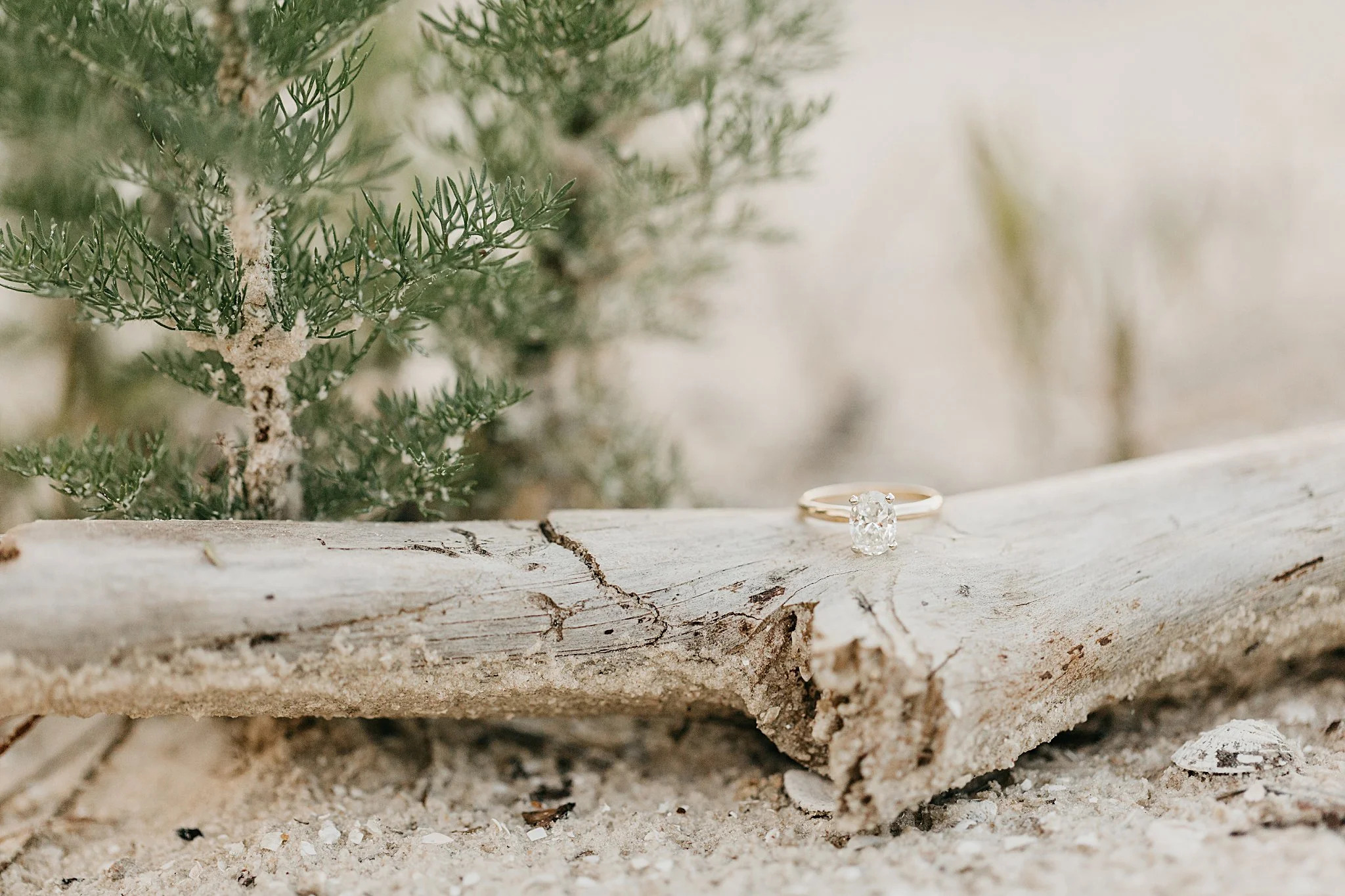 JessicaBordnerPhotography_5366.jpg