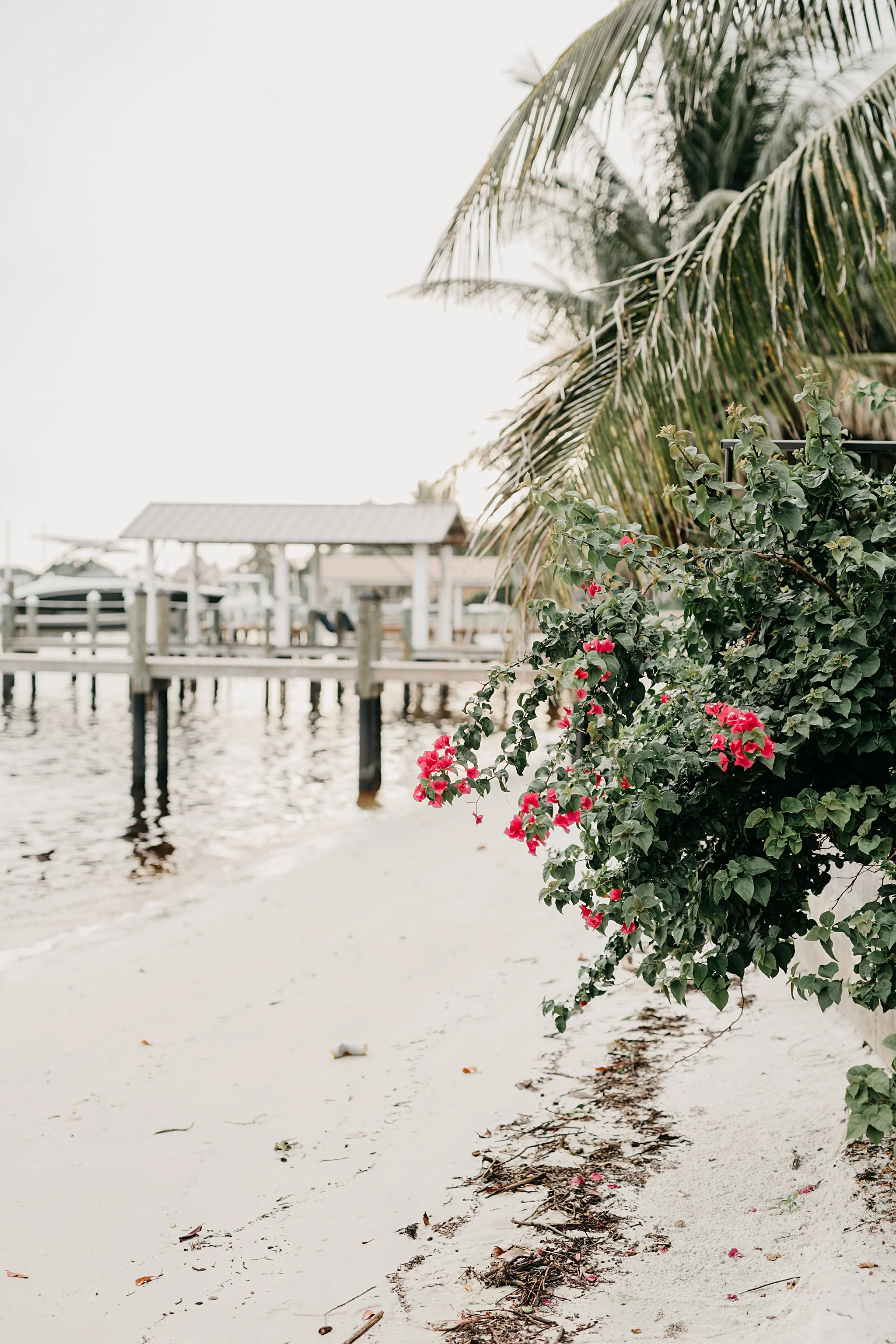 JessicaBordnerPhotography_5645.jpg