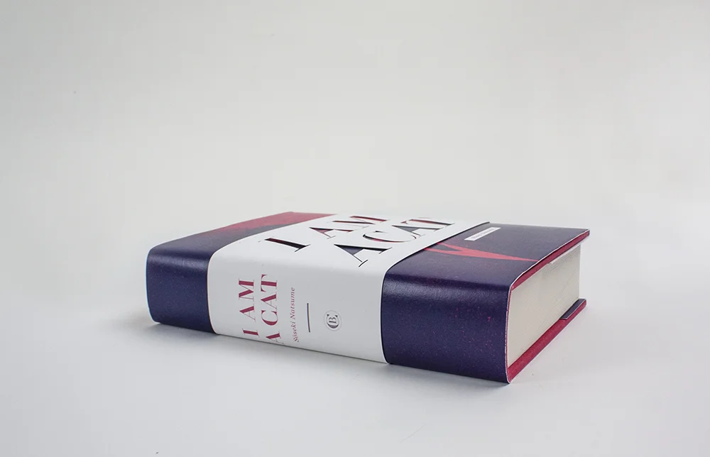 iamacat_book_spine.jpg