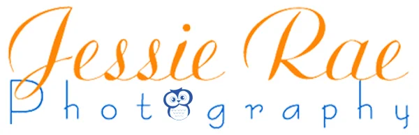 Looking for ways to reincorporate this little guy back into my logo... I'll keep working on it!