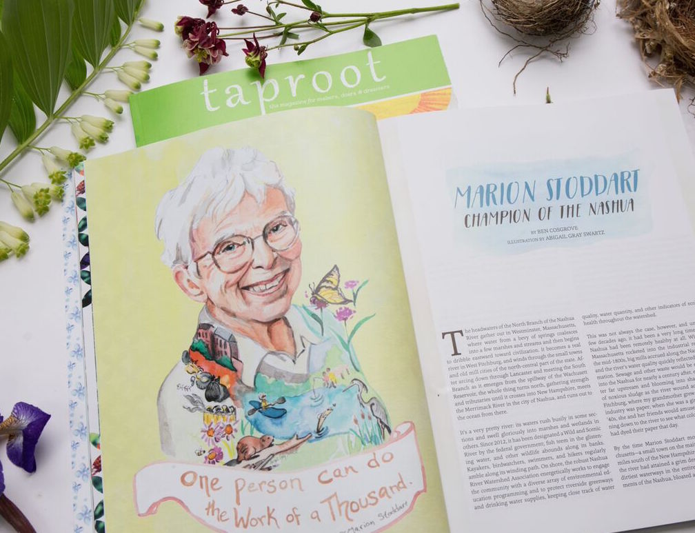 This past April, the lovely women at Taproot Magazine reached out to ask if I would paint them a portrait of Marion Stoddart for their summer issue "Grow". I was delighted! Marion is an inspiring example of the impact one person can have on their community. Shortly after moving to Massachusetts in the 1960's, Marion was appalled by the state of the Nashua River. The local paper mill was dumping their waste into the river making it toxic and uninhabitable for for wildlife and people. The odor was intense. This was before the days of the EPA or any government regulation. So Marion organized her community and over the next few years they cleaned up the river, regulated the Mill and today the river is teaming with wildlife and recreation. This was an honor to paint! Marion is a true inspiration.