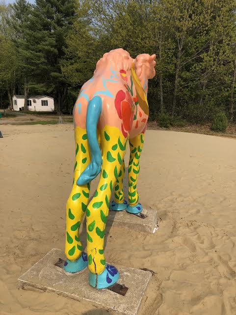Camel.Desert.Of.Maine.jpeg
