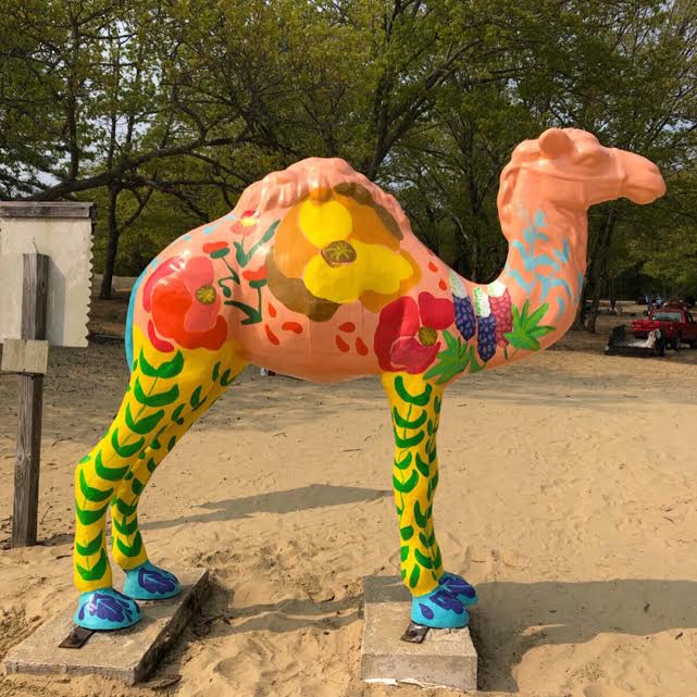 Painted.Camel.Statue.Desert.of.maine.jpeg