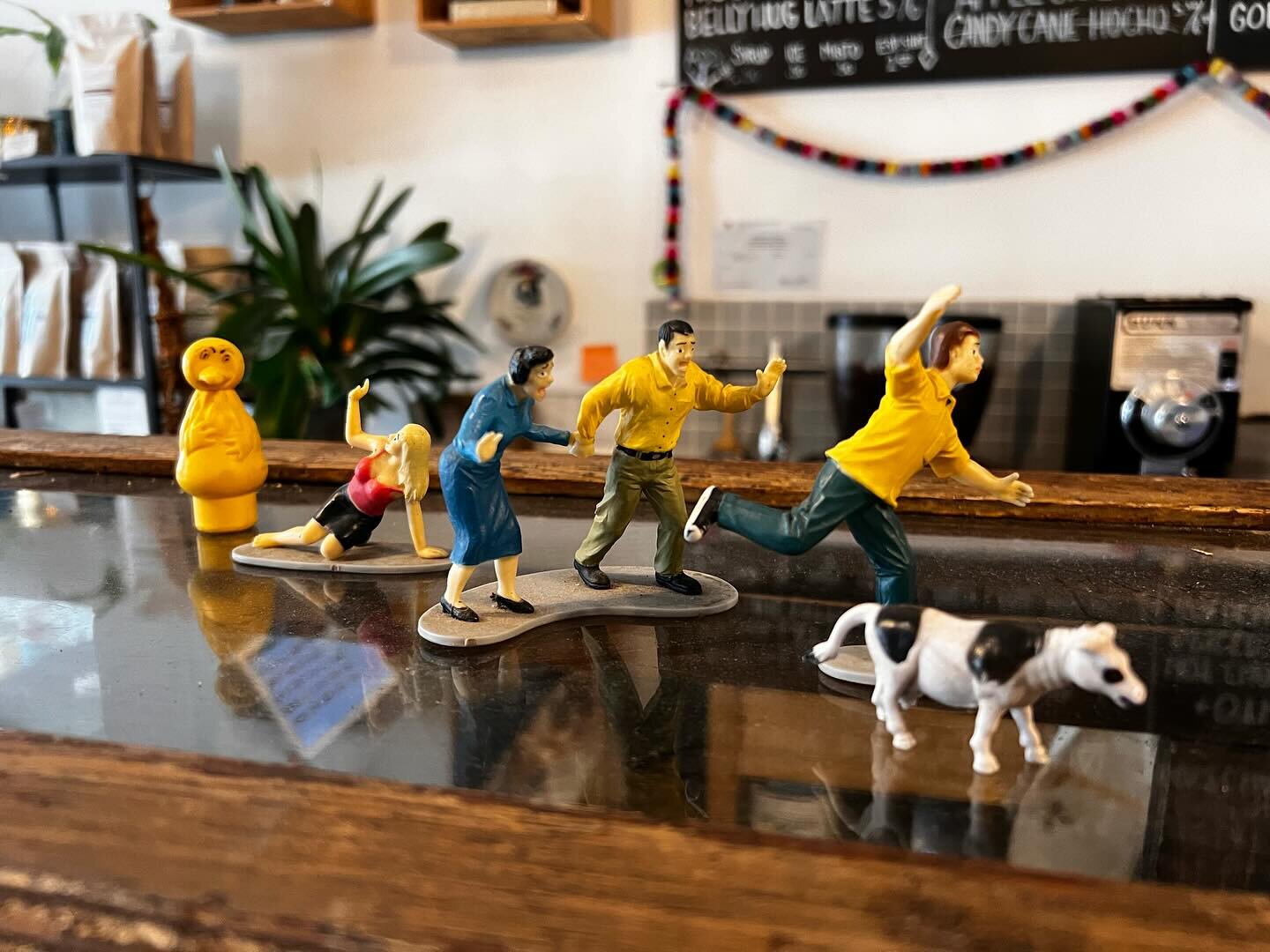 Big Bird may not be chasing you, but you should still run down to Vintage to come get some steamin&rsquo; hot coffee and fresh treats! Open until 3:00 today! ❤️ 

#local #hamiltonlocal #hamiltoncoffee #hamontcoffee #vintagecoffeeroasters #coffee
