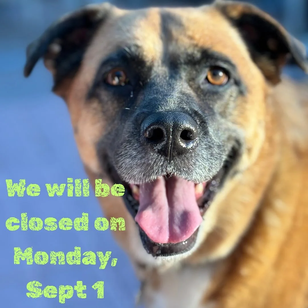 Last long weekend of the summer! What the heck? 
We’ll be closed on Monday, and will have regular-ish hours this weekend, opening at 9am and closing when it feels right. Keep an eye on our stories for updates. 
Looking so forward to seeing al