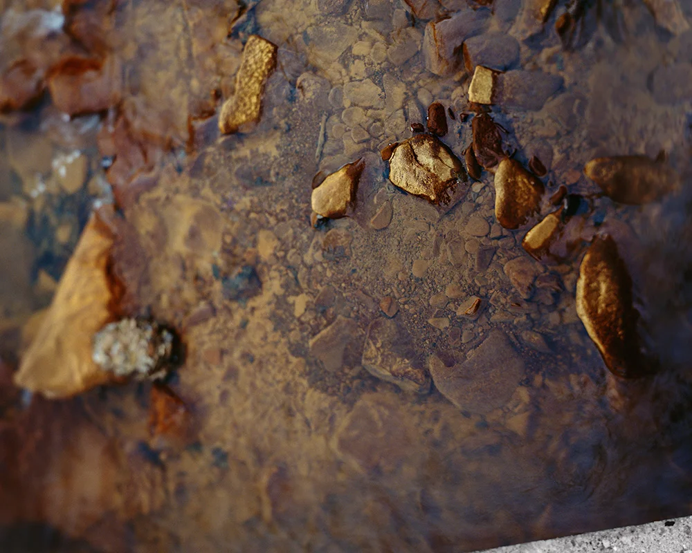 Thank G-d for Mississippi: Knapp Creek, WV , 2009 FujiFlex Digital C-Print 55 x 44 Inches