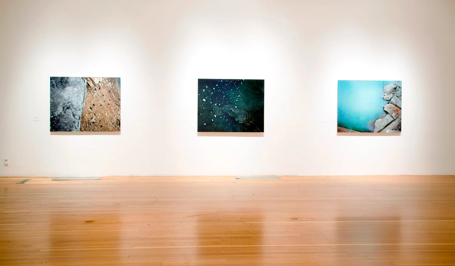 Installation View ( University Art Gallery, UC, Irvine, 2009) Thank G-d for Mississippi , 2009 Fujiflex Digital C-Prints 10 Photographs in Series; 55 x 44 Inches