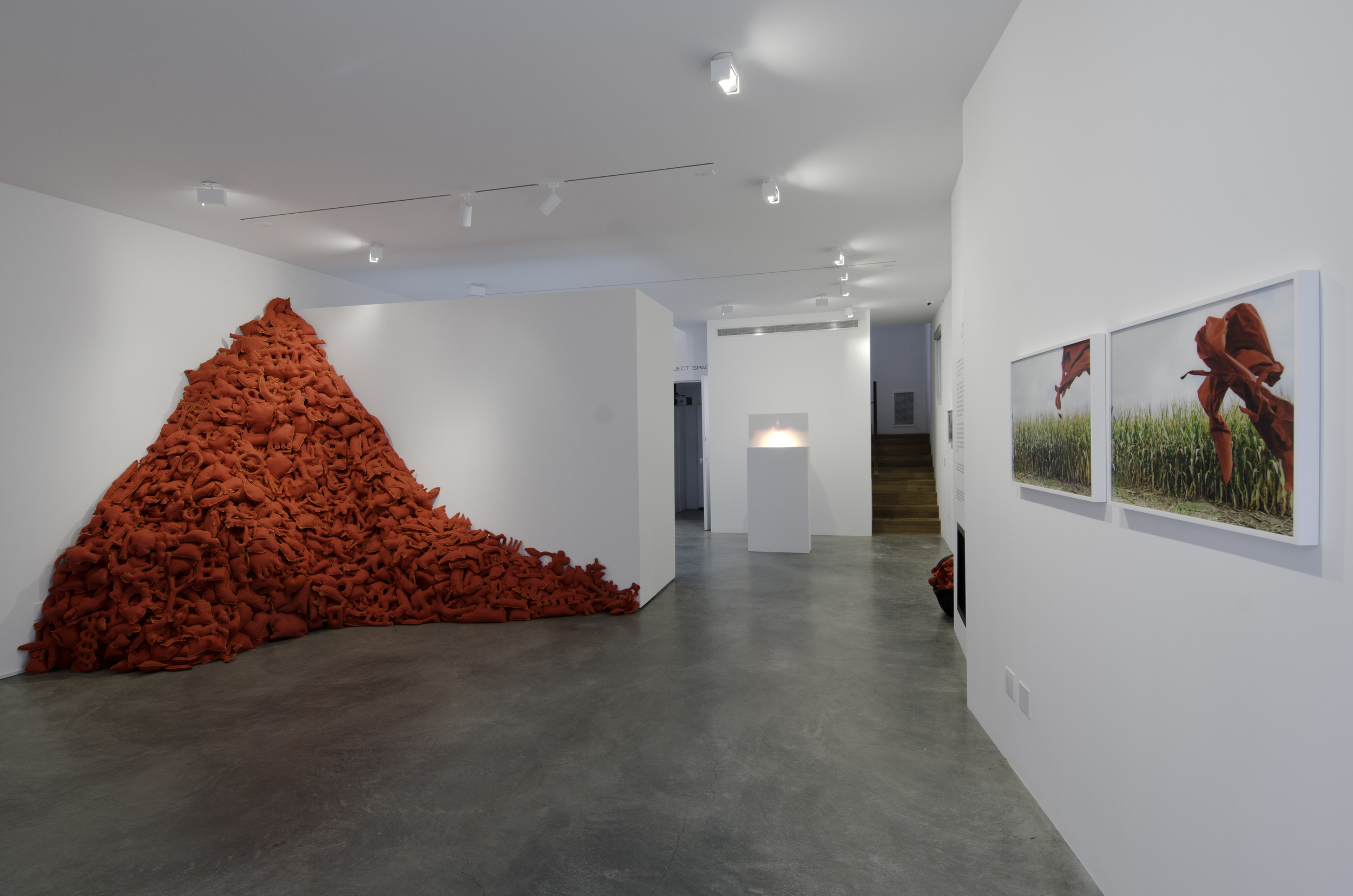  Installation View&nbsp; (Shulamit Gallery, 2014)   The Pile,&nbsp; 2014 Single Channel HD Video Projection with Sound (16mm Film), TRT 12:00, Looping; Digital C-Prints; Hand-Stitched Red Felt Objects Installation Dimensions Variable 