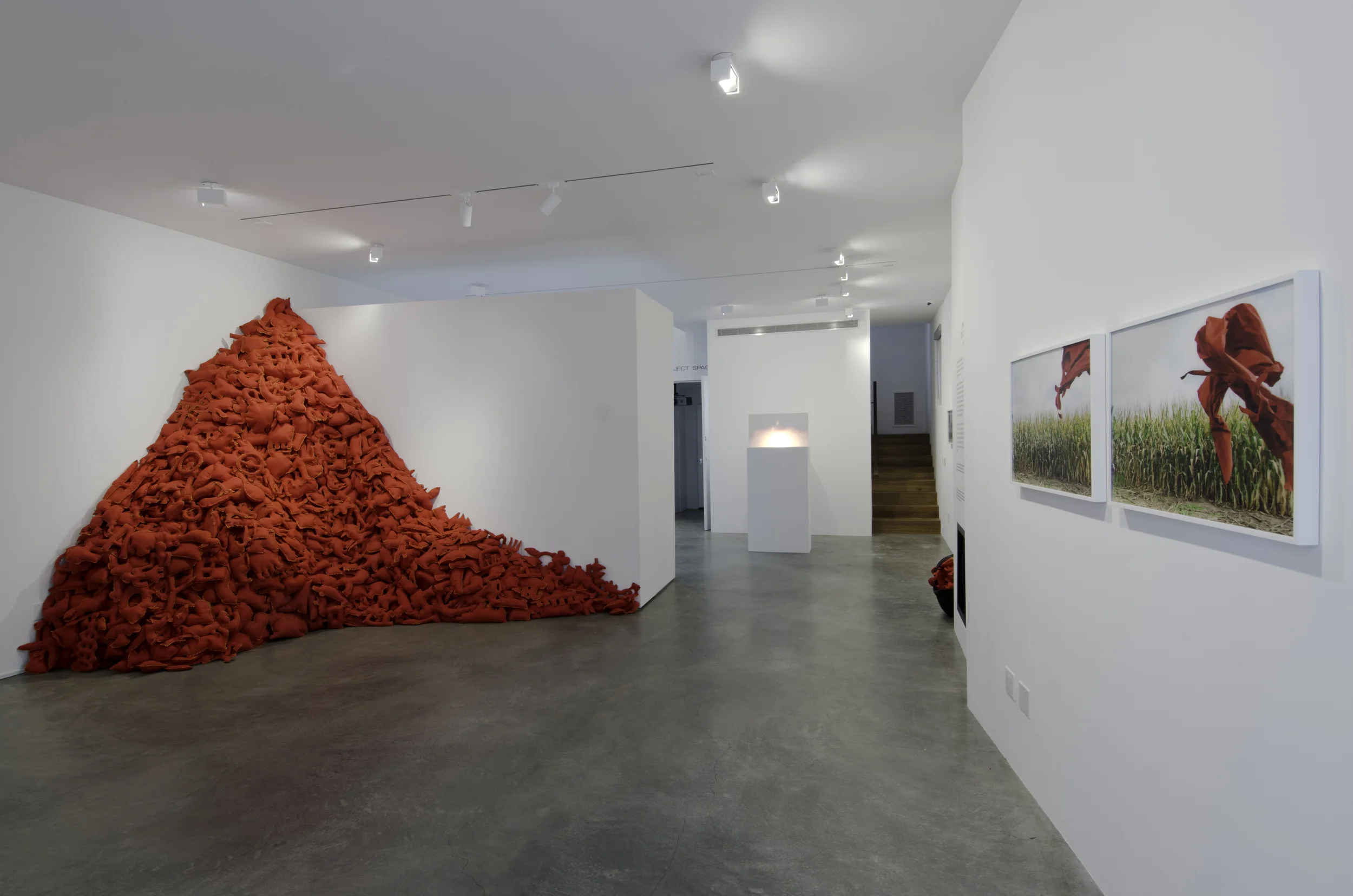 Installation View (Shulamit Gallery, 2014) The Pile, 2014 Single Channel HD Video Projection with Sound (16mm Film), TRT 12:00, Looping; Digital C-Prints; Hand-Stitched Red Felt Objects Installation Dimensions Variable
