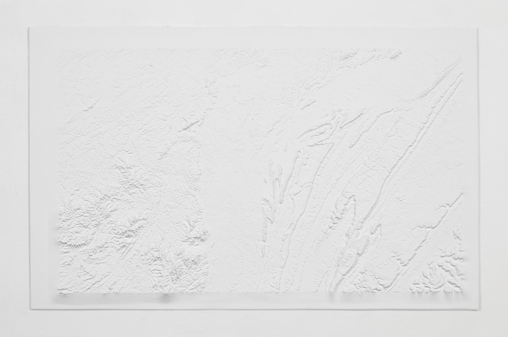   129 million , from the series  Blank Topographies , 2017 Preformed resin map, paint 20 x 32 inches 