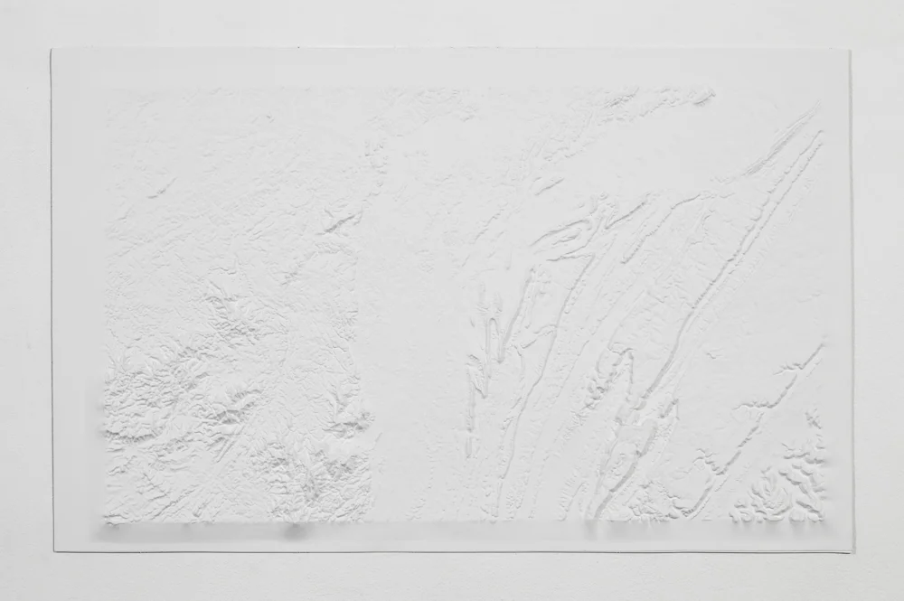 175 million, From the series Blank Topographies Preformed resin map, paint 20 X 32 inches