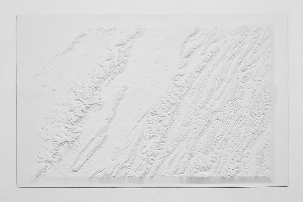   182 million , from the series B lank Topographies , 2017   Preformed resin map, paint 20 x 32 inches 