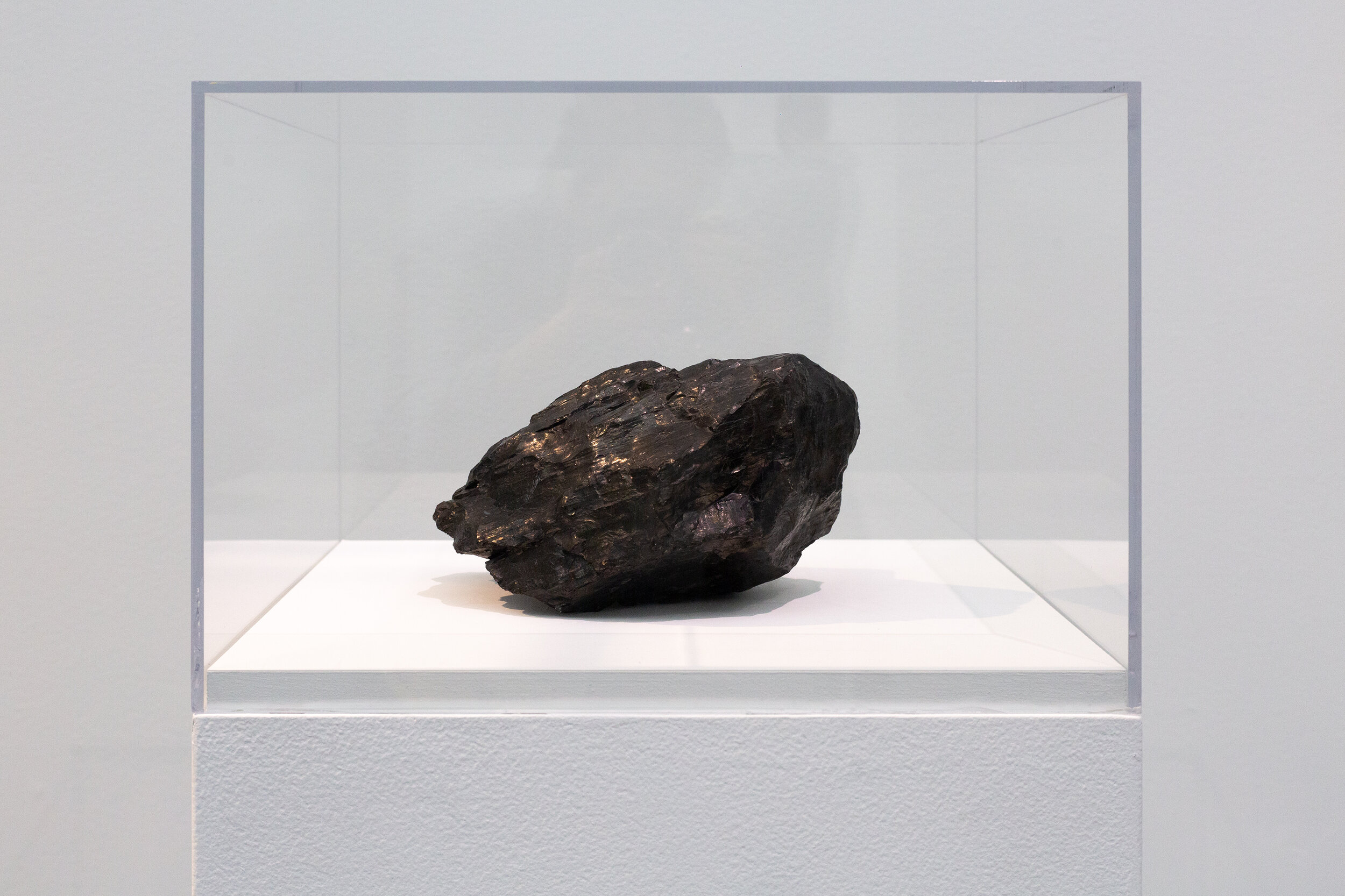  Better or Equal Use: Coal, 12.9 lbs, from Bullpush Mountain (or the weight of it), 2020 Coal 10 x 8 x 5 Inches 