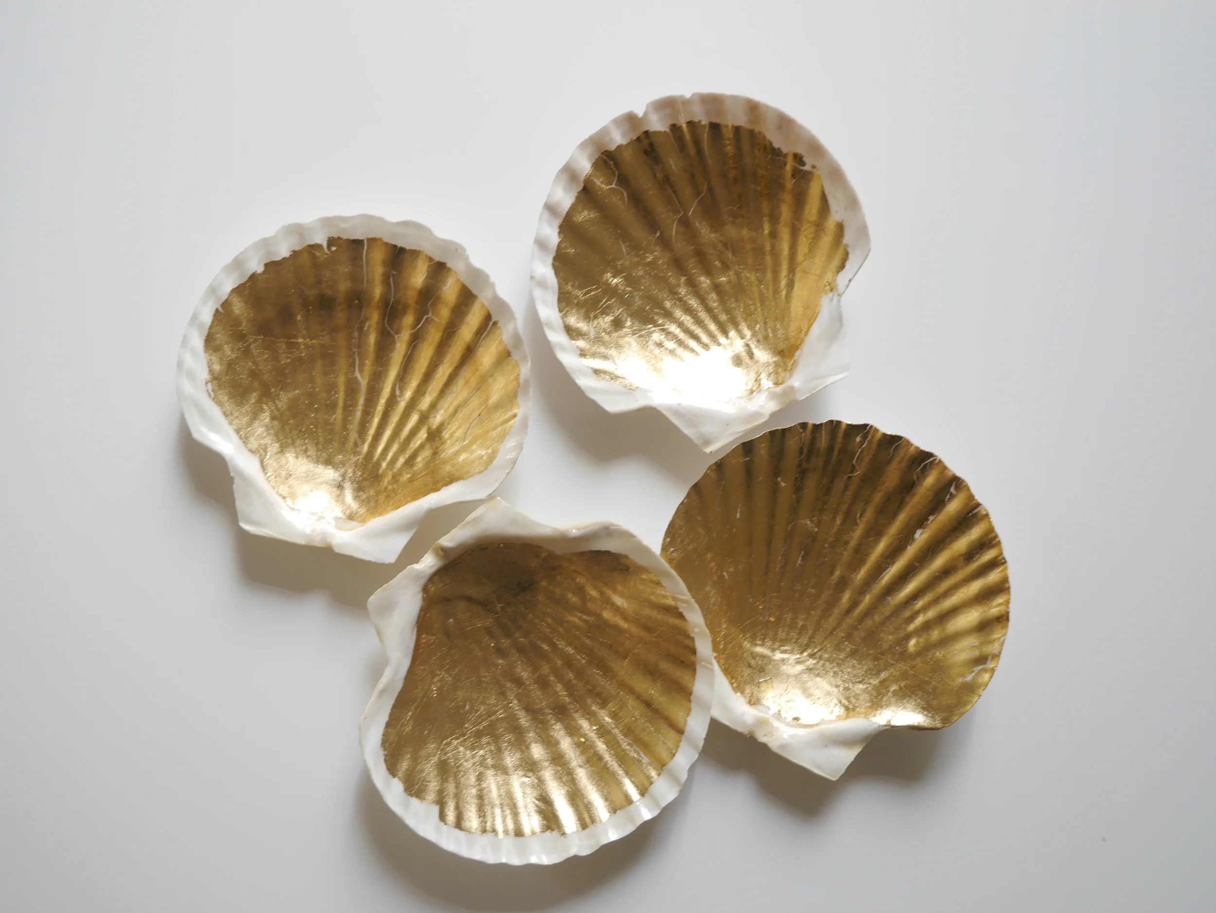 DIY Shell Bowls