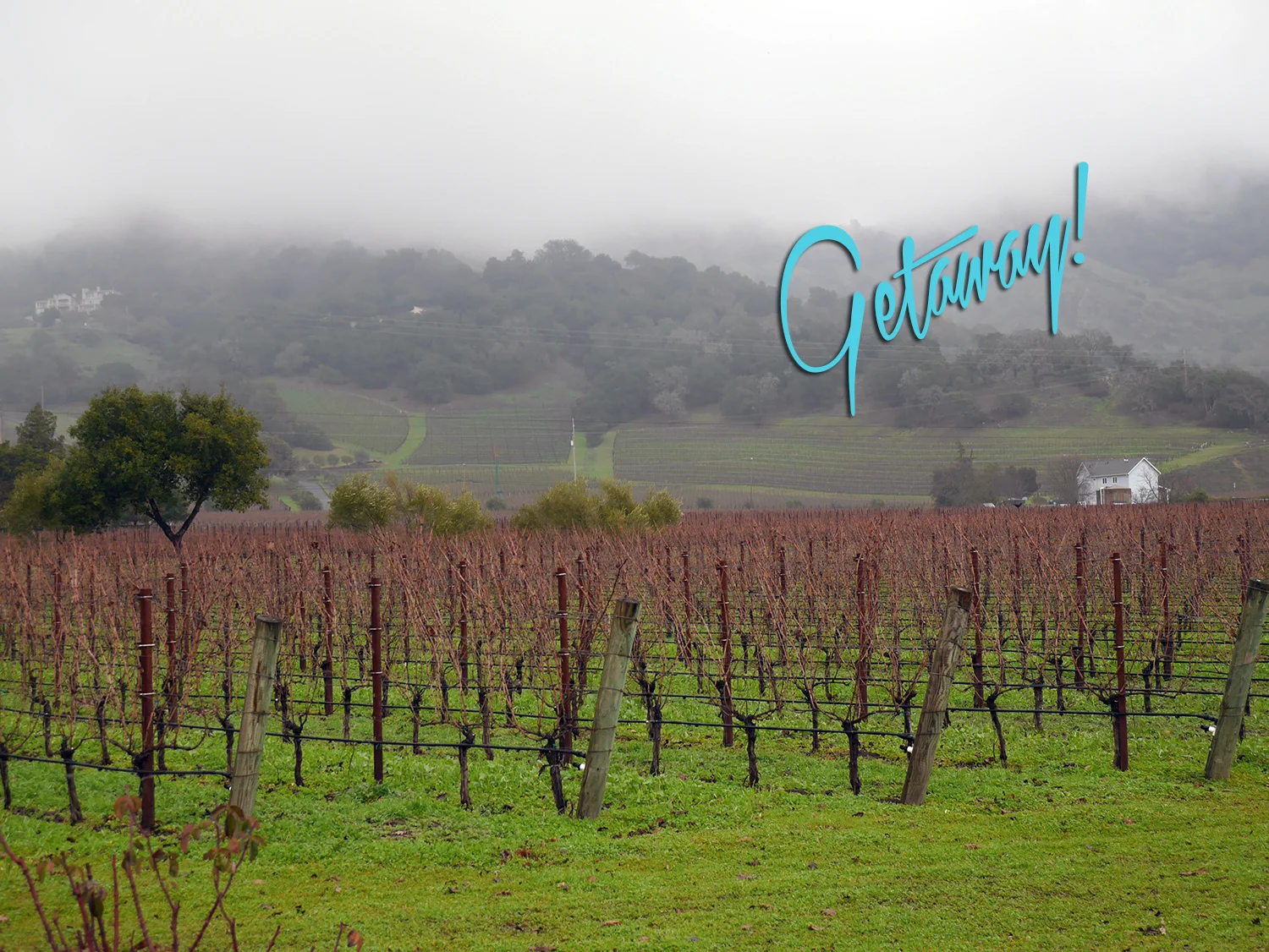 FRIENDS WEEKEND IN NAPA