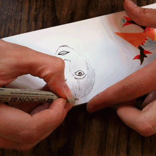 animation.gif
