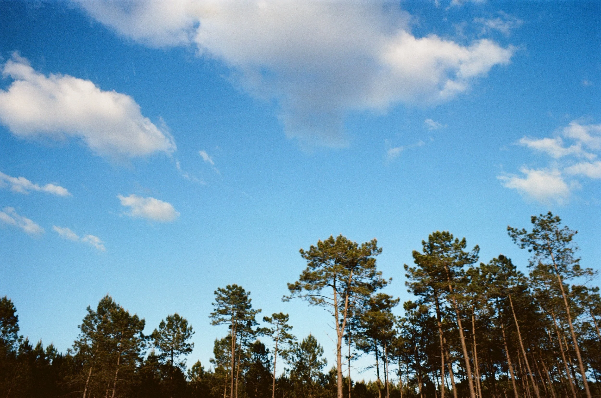 0003_1A.jpg