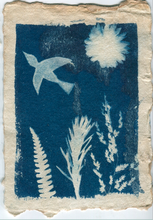 Screen Shot 2020-05-31 at 12.08.43.PNG