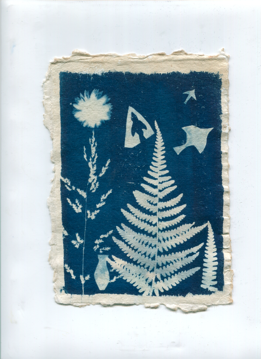 Screen Shot 2020-05-31 at 12.09.21.PNG