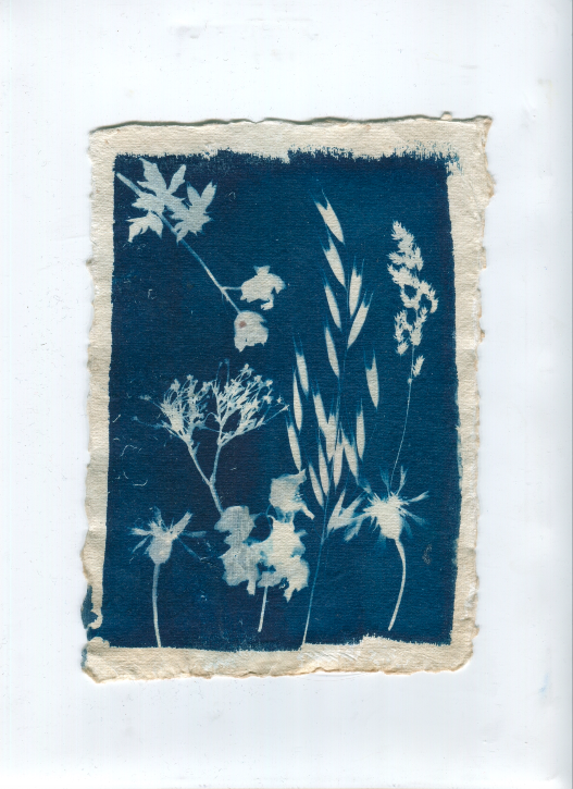 Screen Shot 2020-05-31 at 12.09.30.PNG