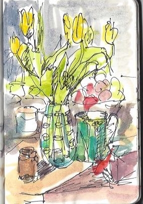 tulipsketch_katebirrell_2015.jpg