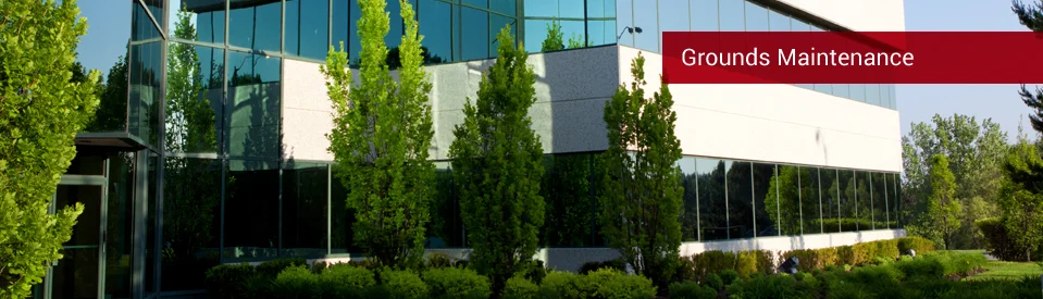 GROUNDS-header3.jpg