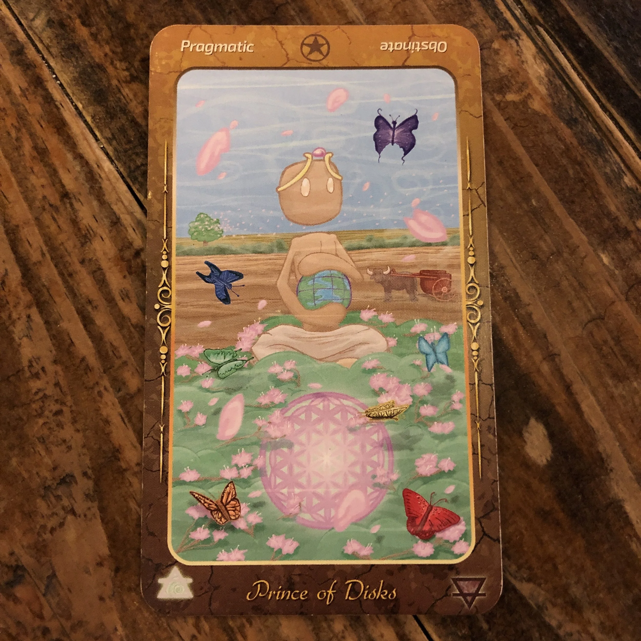 LEO Sun Sign - Imbolic, New Moon, Year of the Pig - February 5th, 201