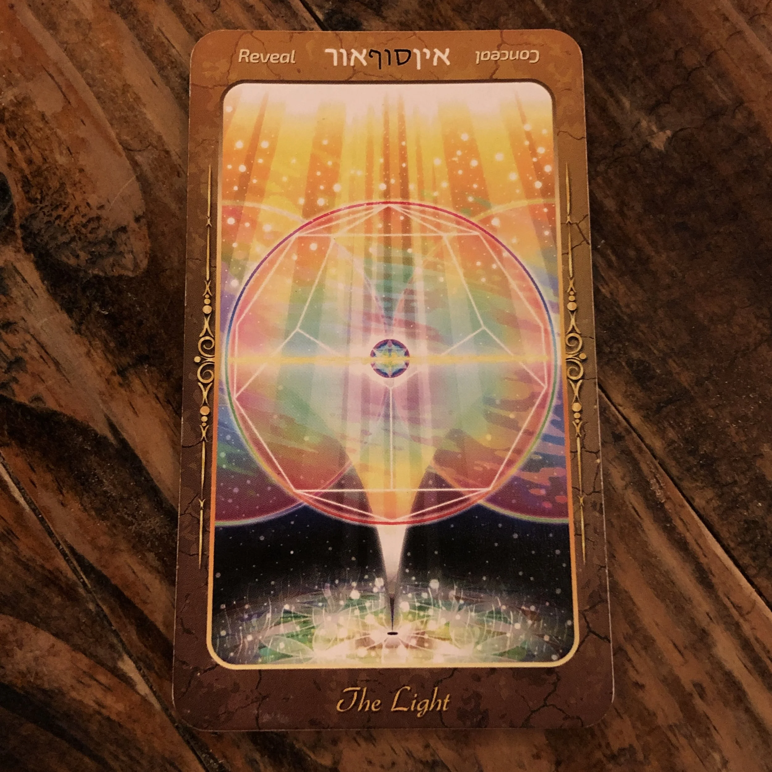 CAPRICORN Sun Sign - Imbolic, New Moon, Year of the Pig - February 5th, 2019