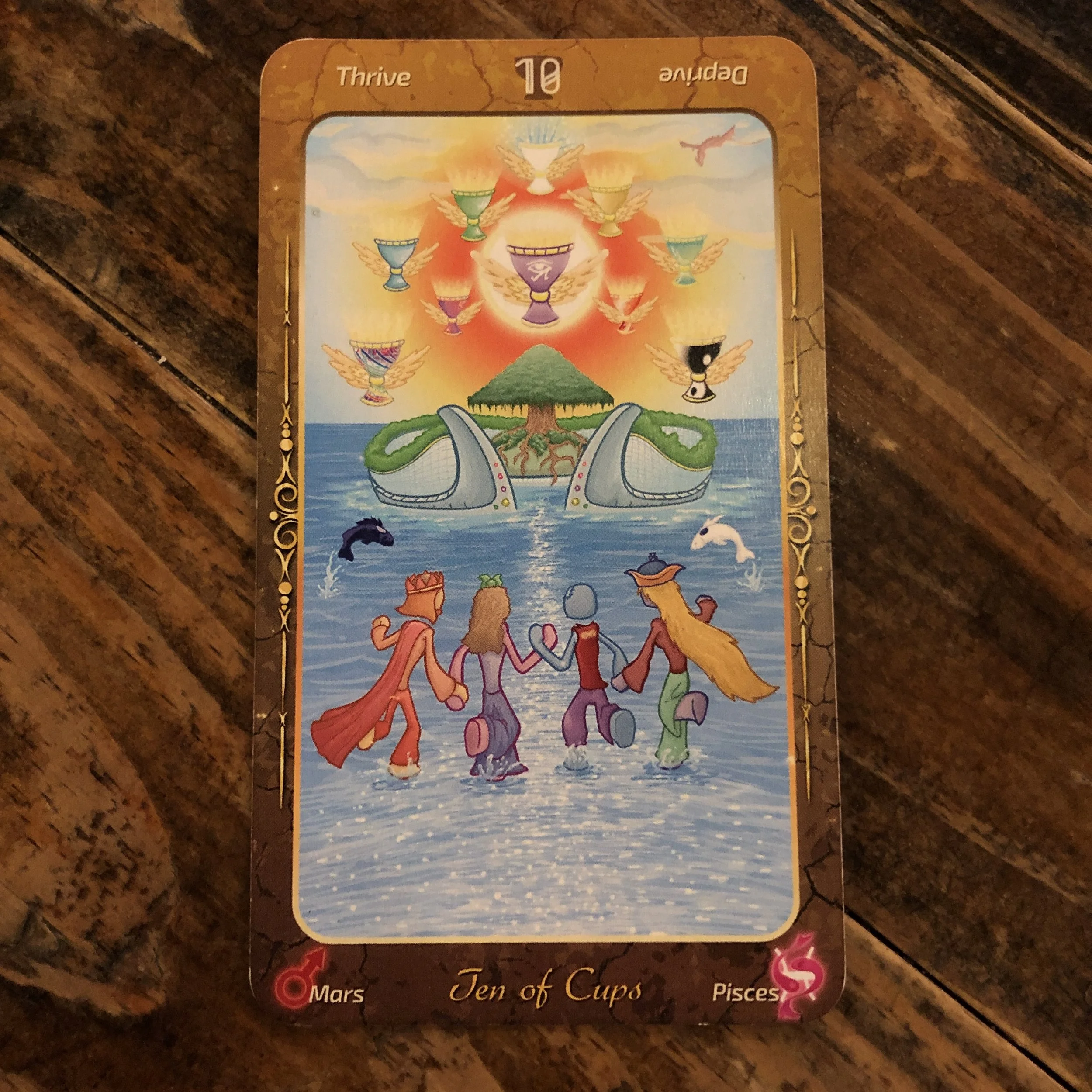 PISCES Sun Sign - Imbolic, New Moon, Year of the Pig - February 5th, 2019