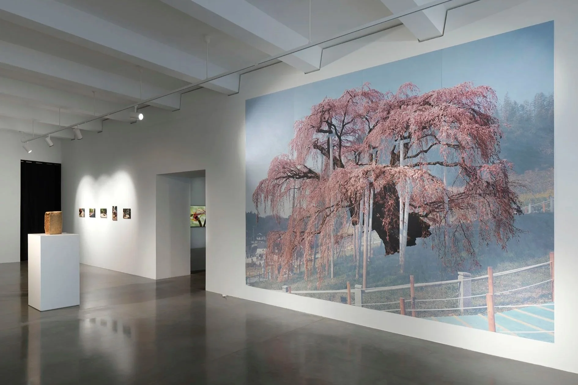   An Intimacy with Strangers,  2026, exhibition view, Maschinenhaus M1, KINDL, photo: Jens Ziehe 